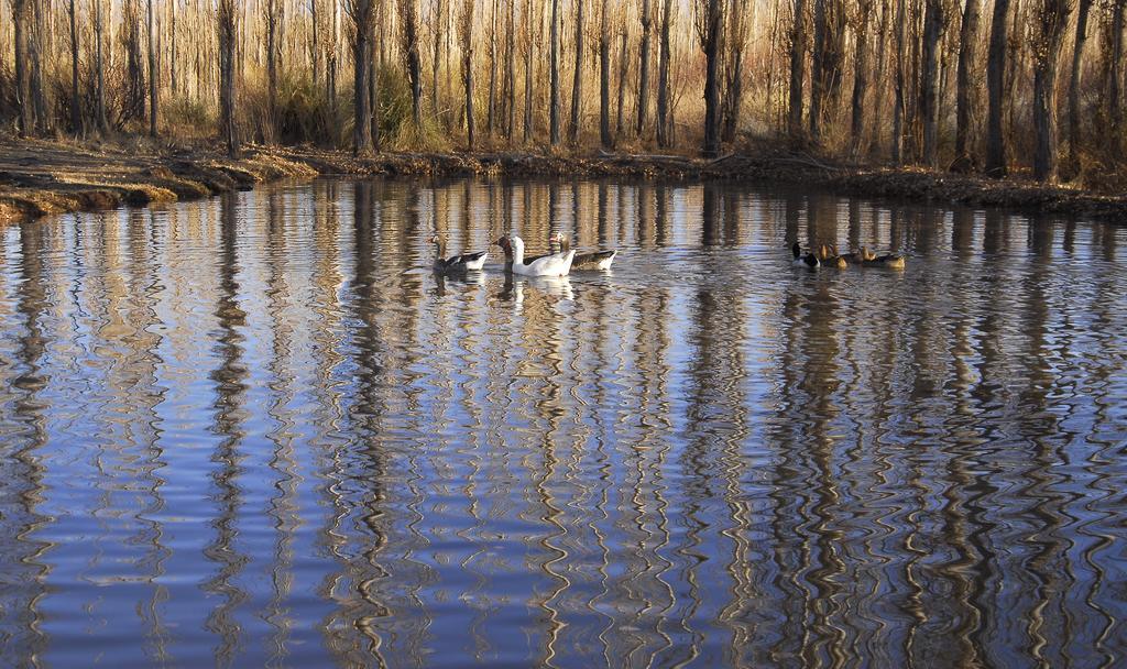 Отель Posada Paso De Los Patos Барреаль Экстерьер фото